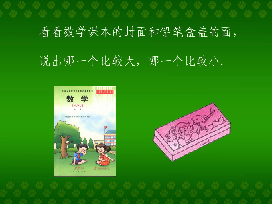 面积和面积单位 (3)_第2页