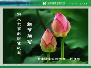 写人叙事的润色之笔---细节描写