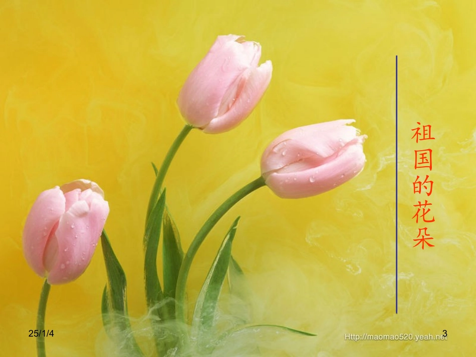 青少年健康成长知识讲座我们为什么会生病_第3页