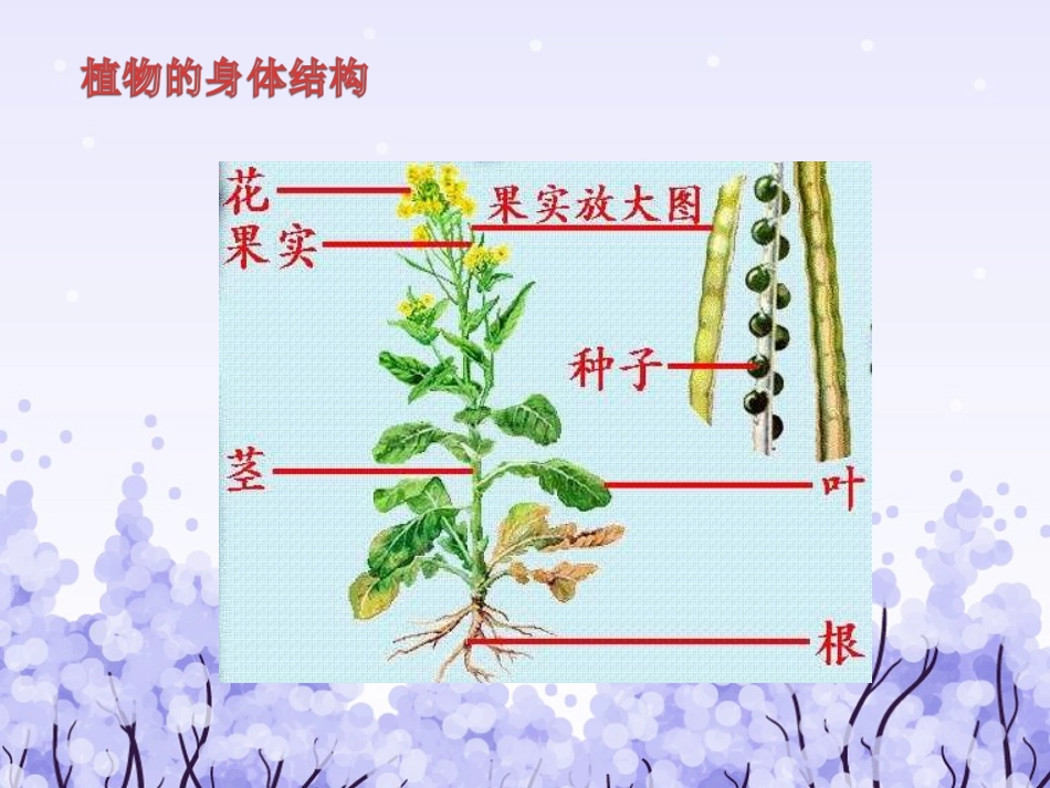 笔记校园第一次讲座2015-3-13_第3页