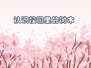 笔记校园第一次讲座2015-3-13