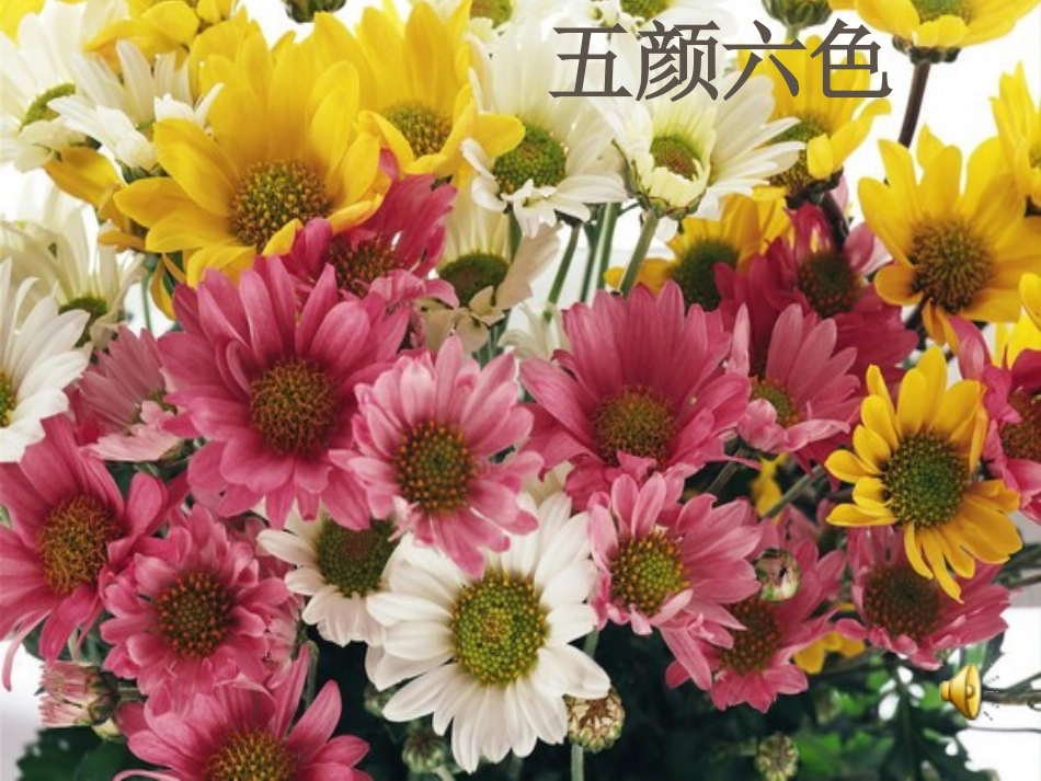 《迷人的夏天》课件_第1页