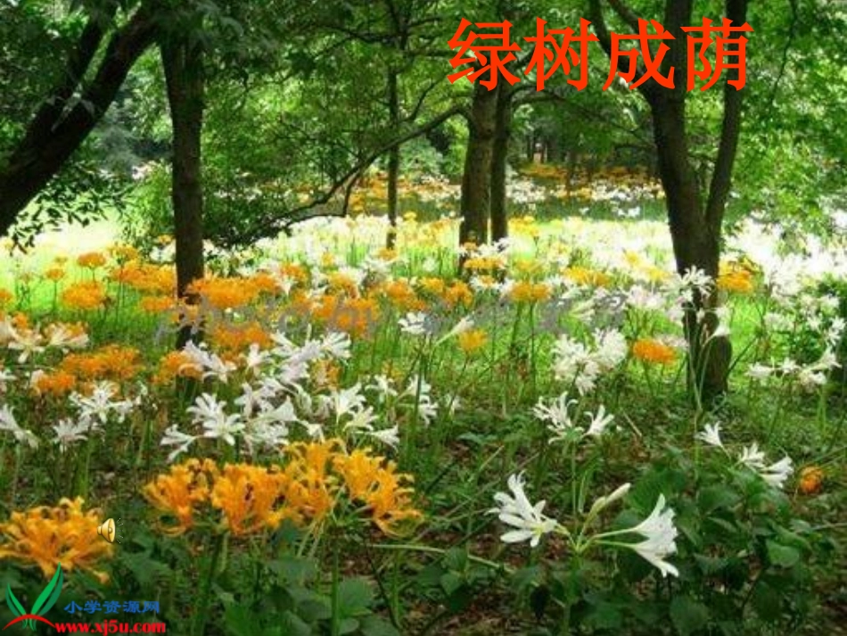 《迷人的夏天》课件_第2页