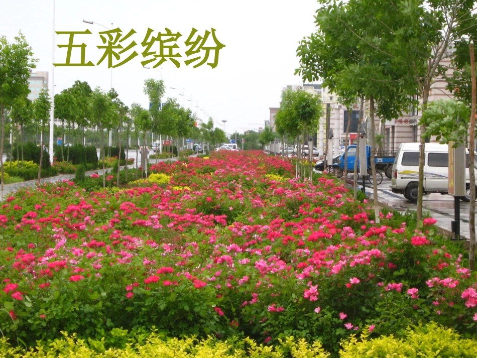 《迷人的夏天》课件_第3页