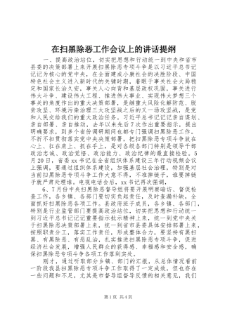 在扫黑除恶工作会议上的讲话发言提纲