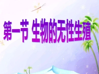 生物的无性生殖