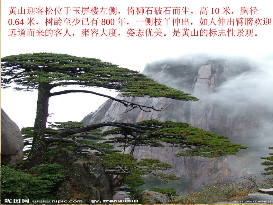 黄山奇石 (2)_第2页