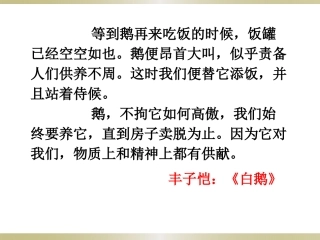 《海燕》教学课件－开江县甘棠初级中学何明荣