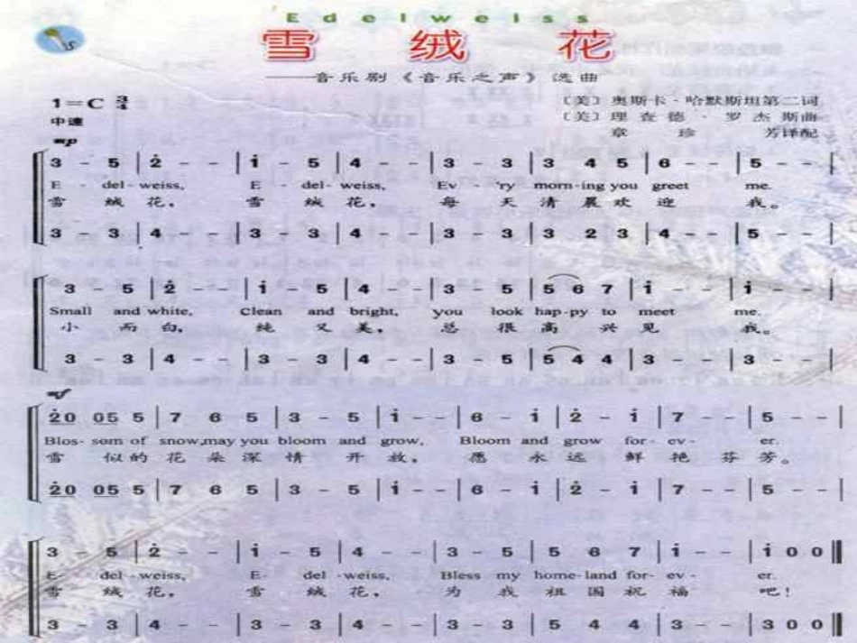凤台四中朱大朋--《雪绒花》课件_第3页