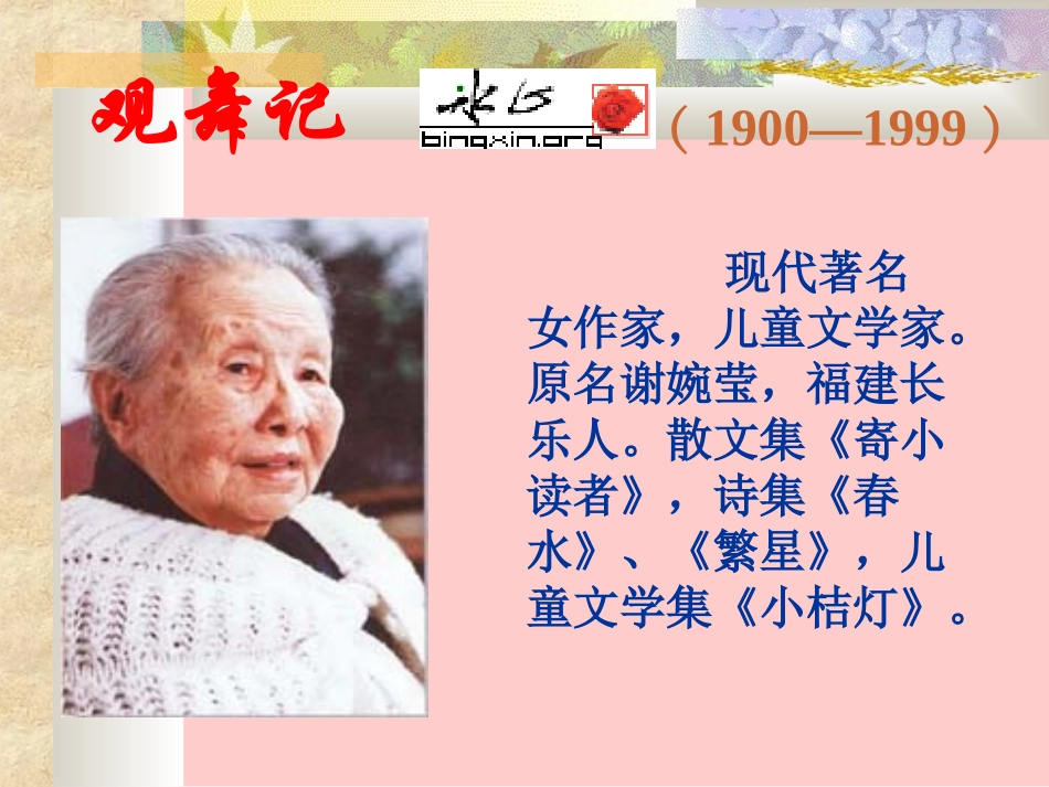 《观舞记》课件（26页）_第2页