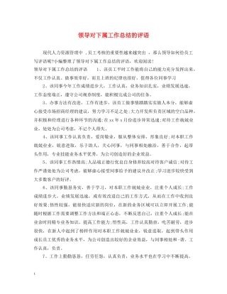 领导对下属工作总结的评语 