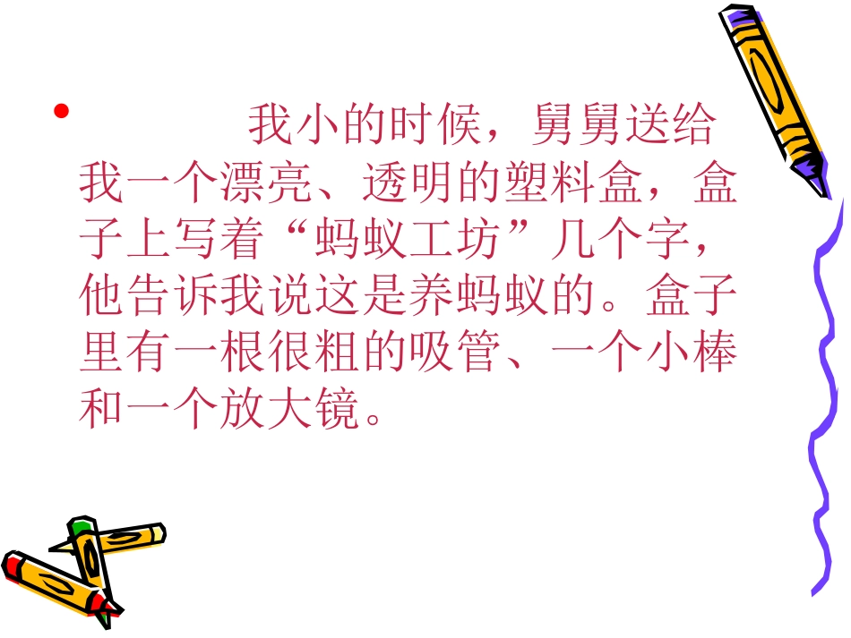 我的蚂蚁工房_第2页