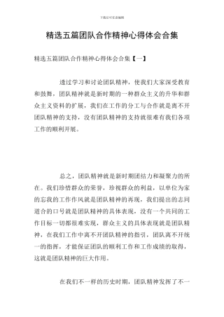 精选五篇团队合作精神心得体会合集