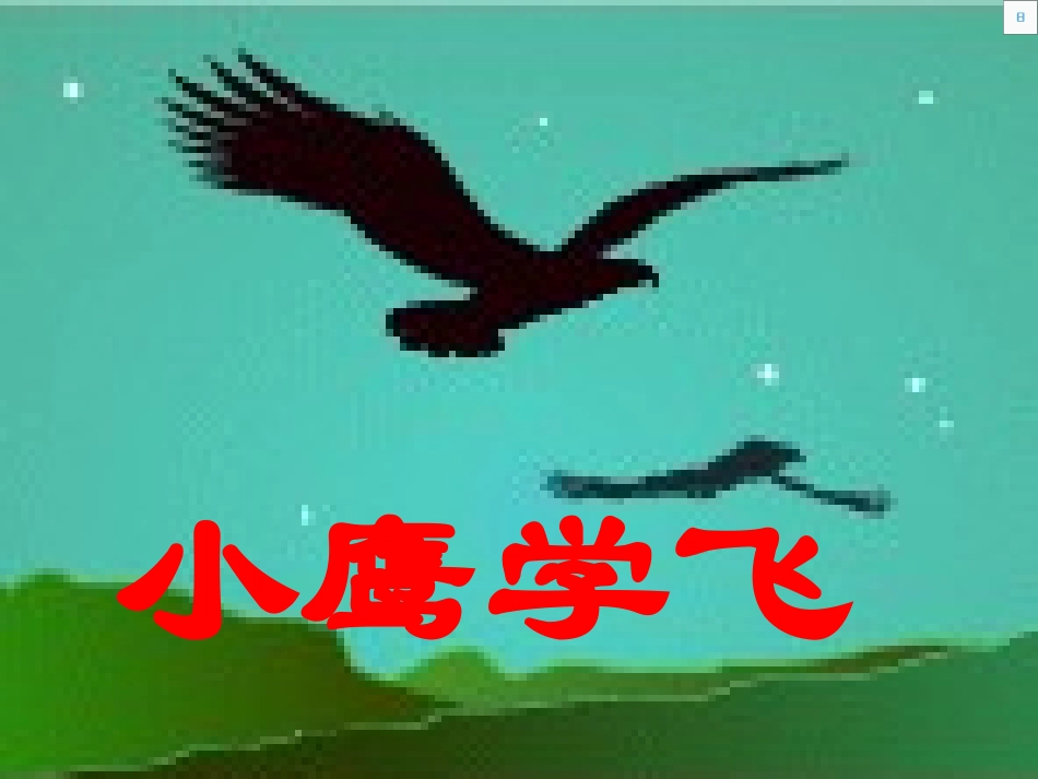 小鹰学飞课件_第2页
