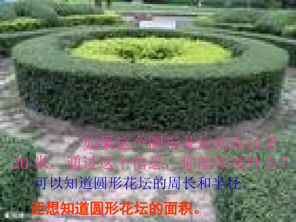 圆的面积课件_(2)_第3页