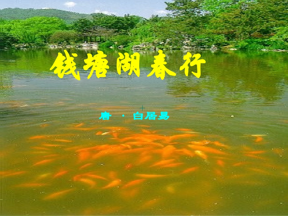 《钱塘湖春行》_第1页