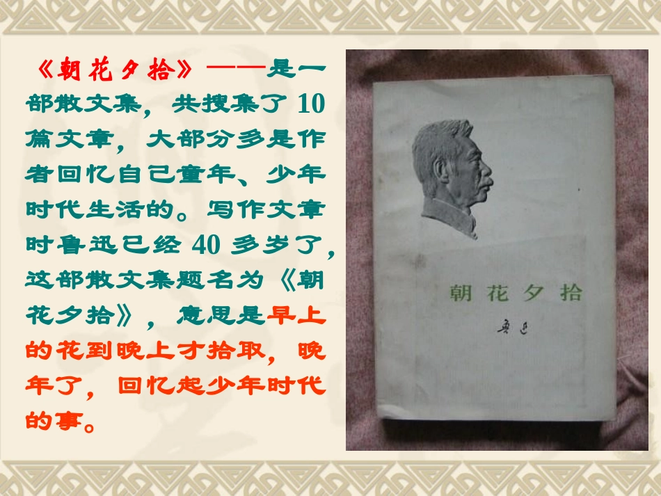 从百草园到三味书屋 (2)_第3页