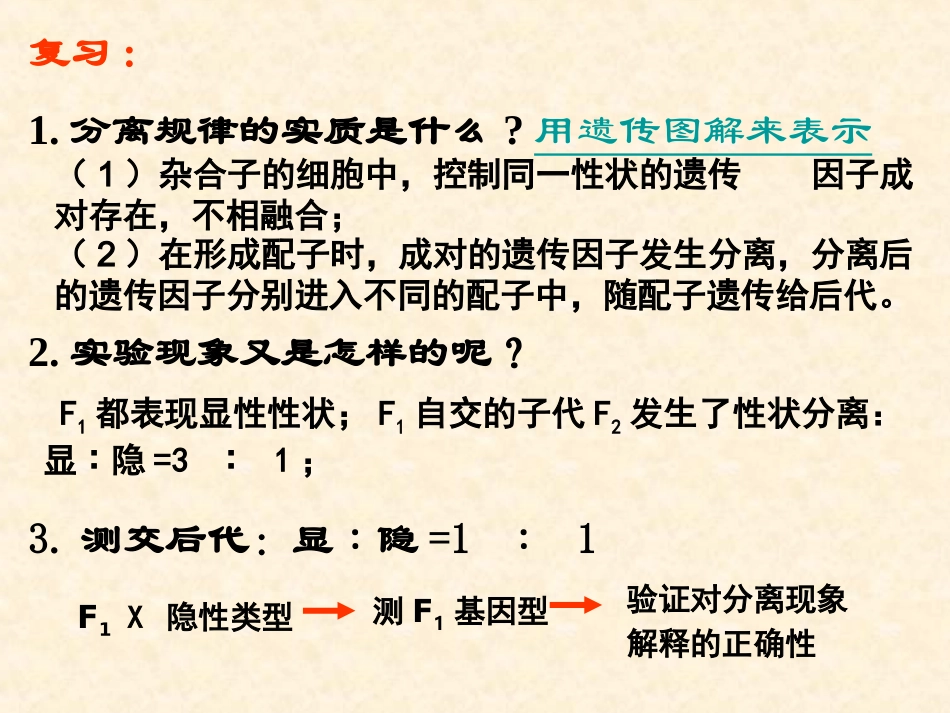 【生物】12孟德尔的豌豆杂交实验（二）课件2（人教版必修2）_第2页