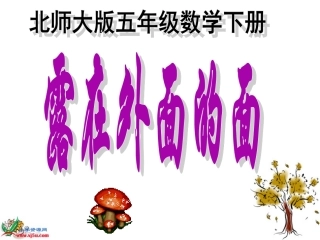 北师大版数学五年级下册《露在外面的面》PPT课件