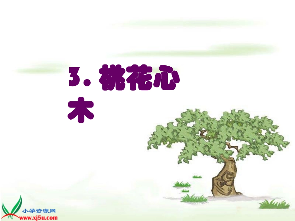 《桃花心木_4》PPT课件_第1页