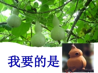 我要的是葫芦修改后