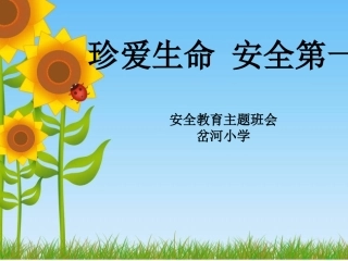 “珍爱生命_安全第一”小学校园安全教育课件