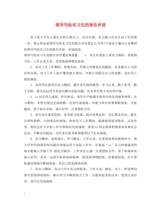 领导写给实习生的报告评语 