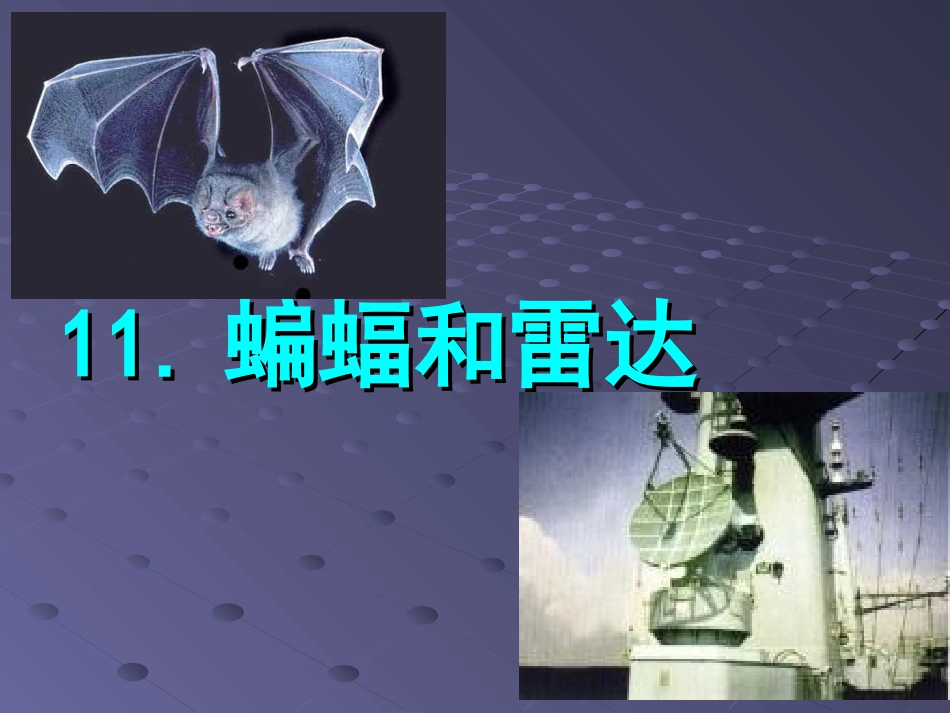 蝙蝠和雷达四年下册语文课件_第1页