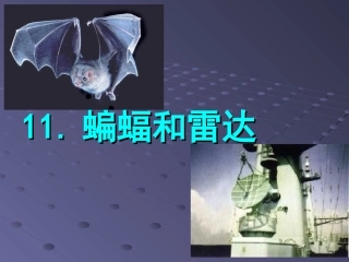 蝙蝠和雷达四年下册语文课件