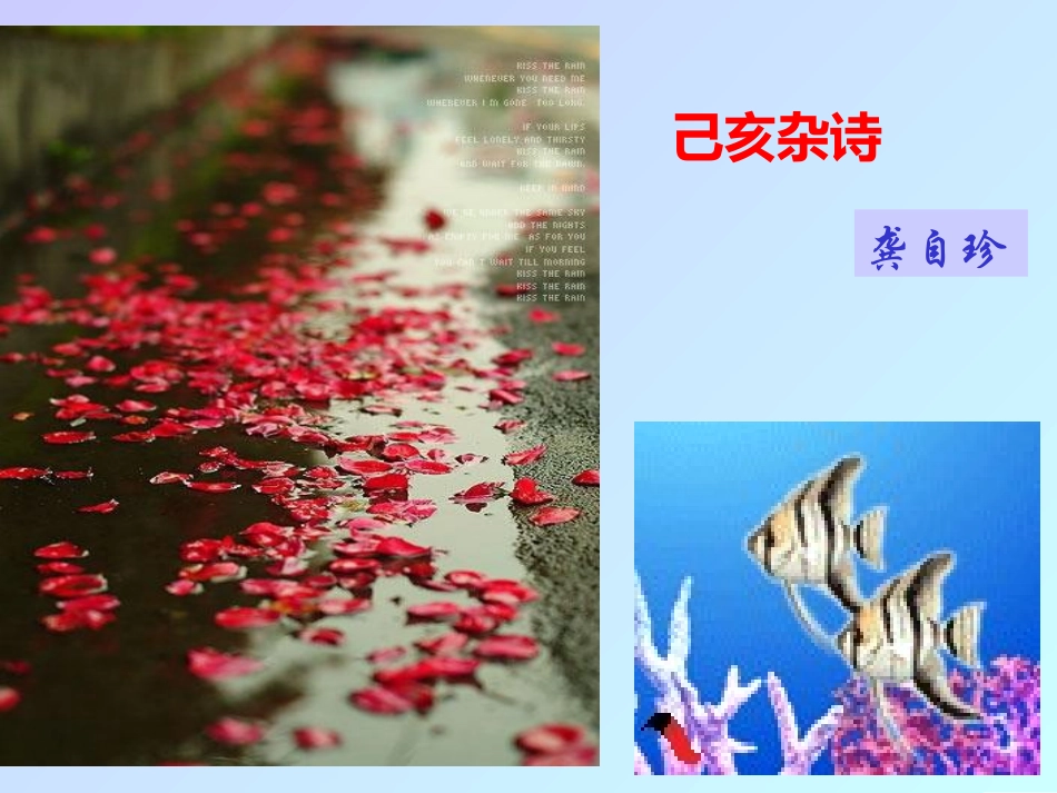 已核杂诗课件_第1页