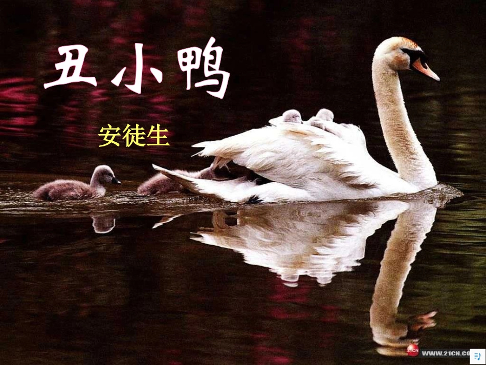 丑小鸭 (4)_第2页