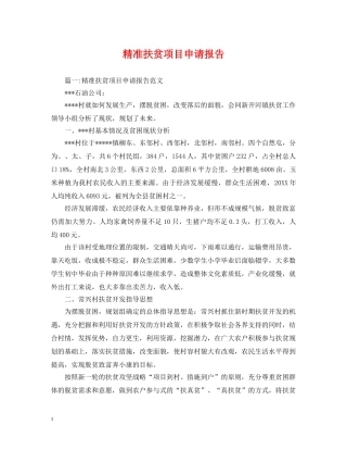 精准扶贫项目申请报告 
