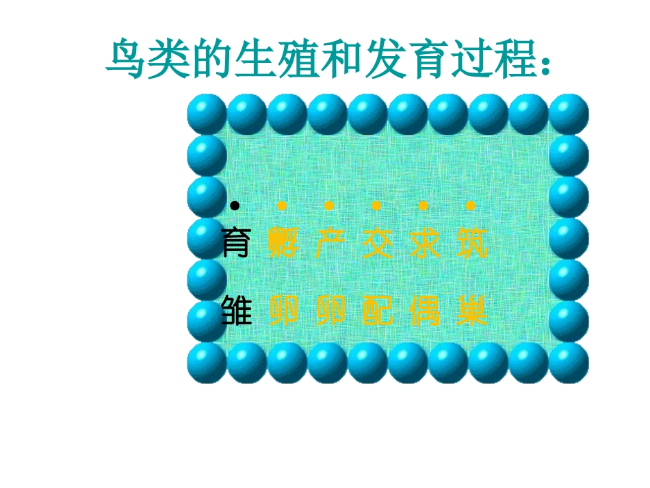 鸟类的生殖与发育_第3页