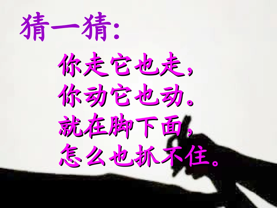 《影子大王》教学课件_第2页