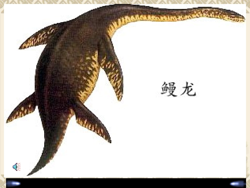 恐龙无处不在_第2页