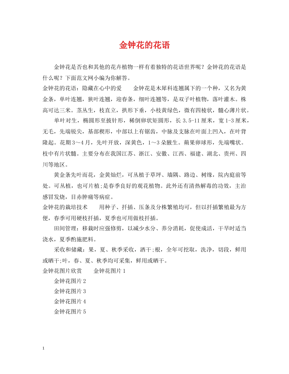 金钟花的花语 _第1页