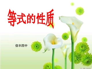 《312等式的性质》课件