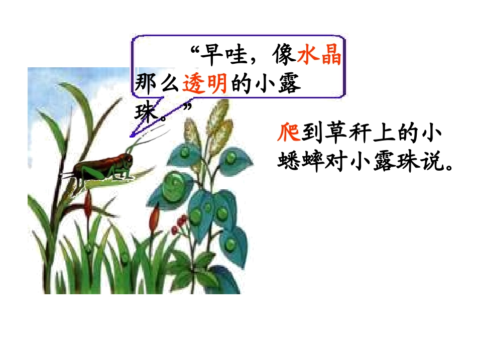 苏教版三年级上册《小露珠》寻_第3页