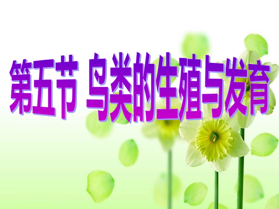 鸟类的生殖与发育 (2)_第1页