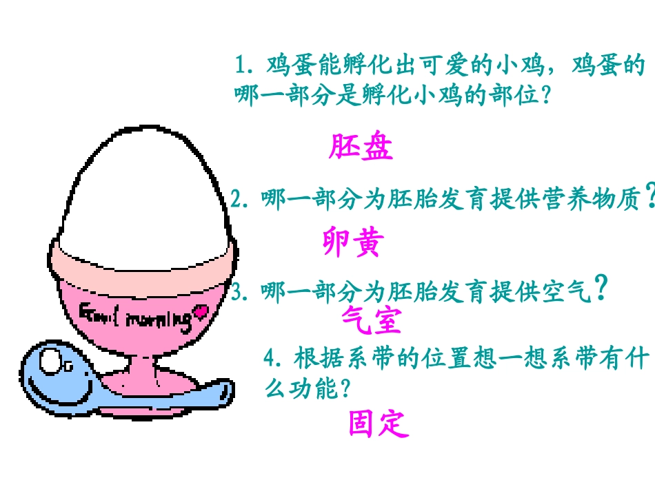 鸟类的生殖与发育 (2)_第2页