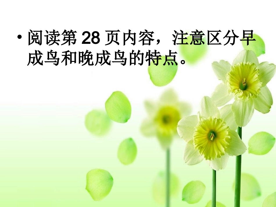 鸟类的生殖与发育 (2)_第3页