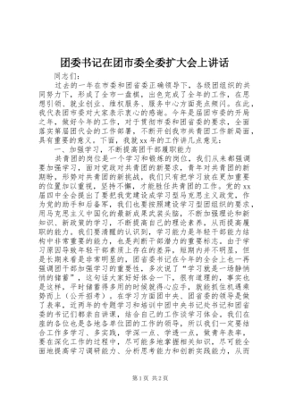 团委书记在团市委全委扩大会上讲话发言_1