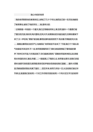 我心中的好老师 (3)