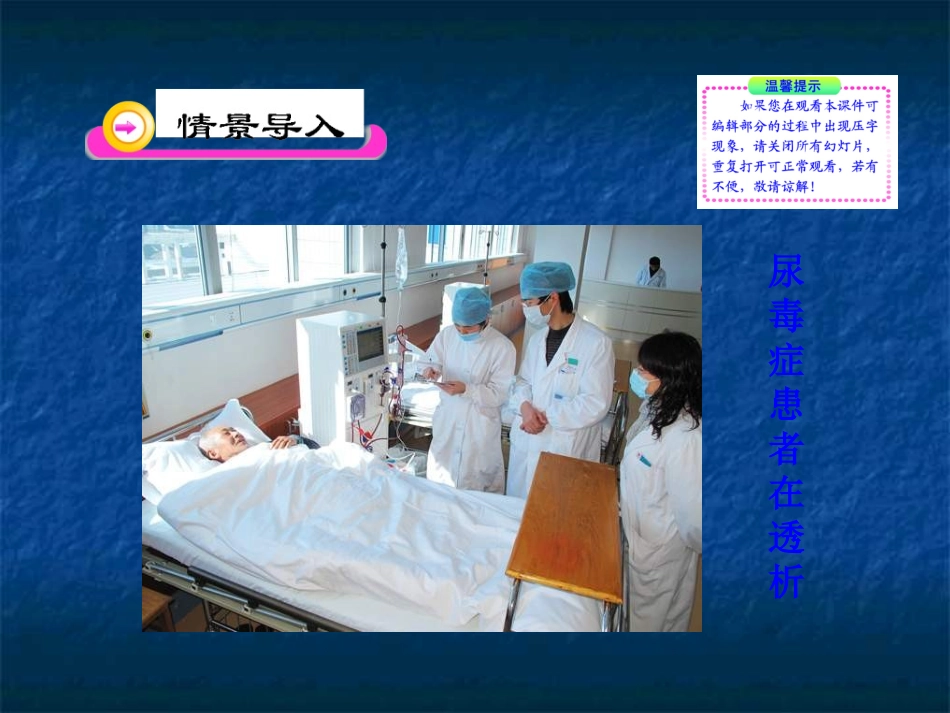 《尿的形成与排出》课件_第2页