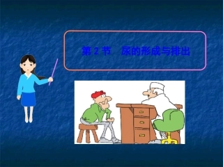 《尿的形成与排出》课件