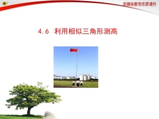 利用相似三角形测高最新北师大版九年级课件