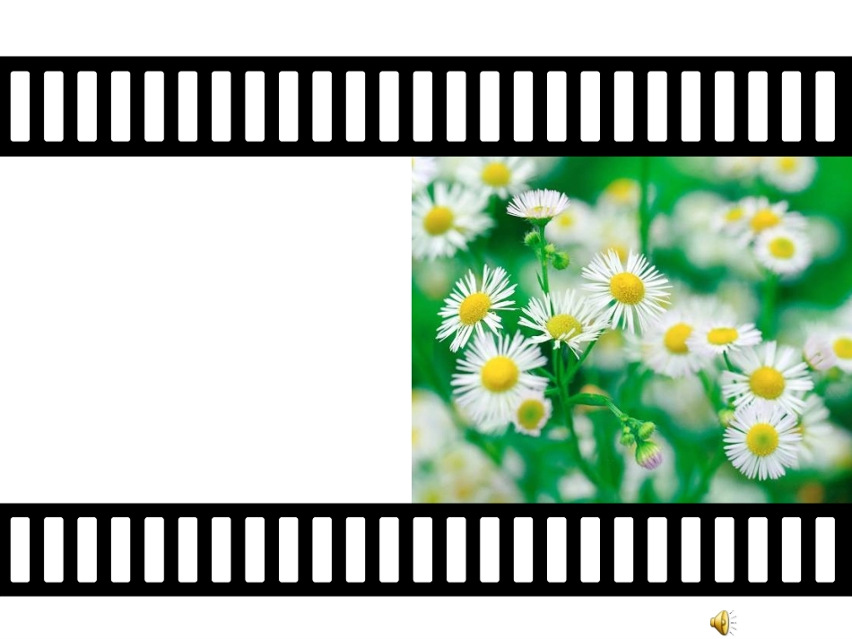 人教版七年级上册第三课第三框让生命之花绽放（共19张PPT）_第1页