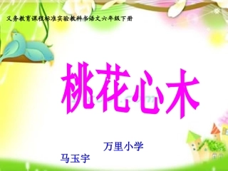 《桃花心木》课件2