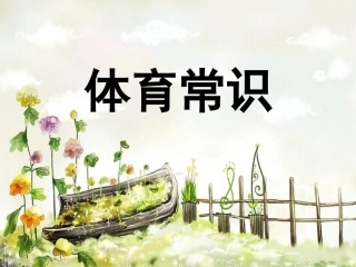 体育室内课：体育引导课-芦晓亚
