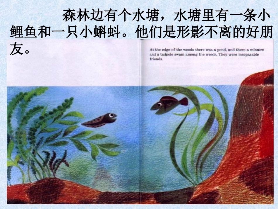 课程超市第六周《鱼就是鱼》_第3页